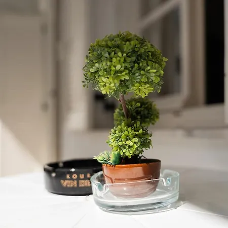 Rumi's House In The Heart Of Parikia *